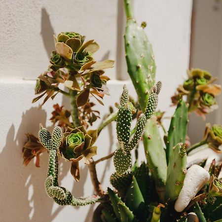 Isabella Short Lets Apartment Polignano a Mare Exterior photo