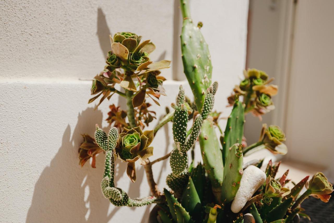 Isabella Short Lets Apartment Polignano a Mare Exterior photo