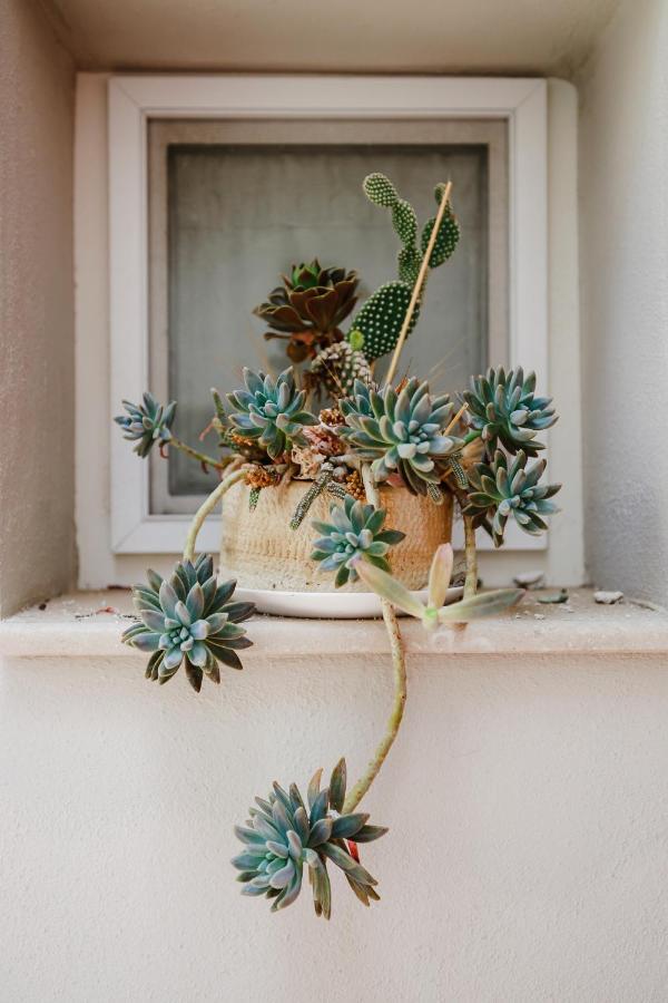 Isabella Short Lets Apartment Polignano a Mare Exterior photo